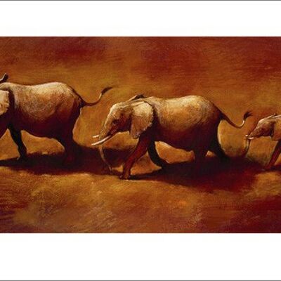 Jonathan Sanders (Three African Elephants) , 50 x 100cm , 43031