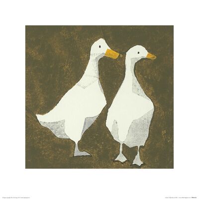 Julia Burns (Ducks) , 40 x 40cm , PPR45628