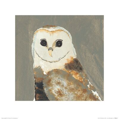 Julia Burns (Barn Owl) , 40 x 40cm , PPR45629