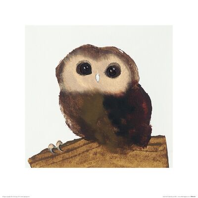 Julia Burns (Little Owl) , 40 x 40cm , PPR45630
