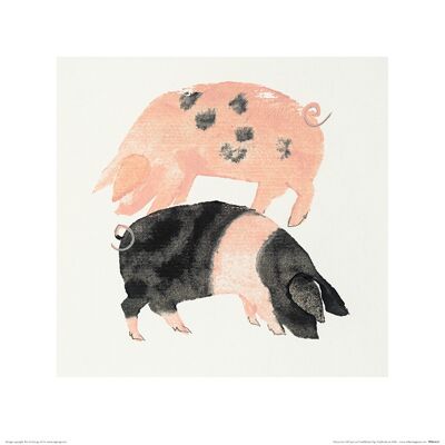 Julia Burns (Gloucester Old Spot and Saddleback Pigs) , 40 x 40cm , PPR45633