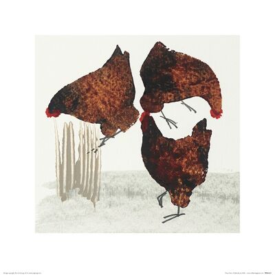 Julia Burns (Three Hens) , 40 x 40cm , PPR45637