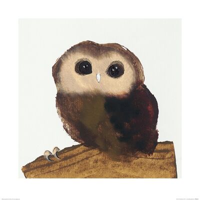 Julia Burns (Little Owl) , 60 x 60cm , PPR46104