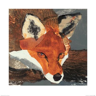 Julia Burns (Fox) , 60 x 60cm , PPR46109