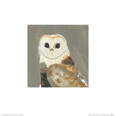 Julia Burns (Barn Owl) , 30 x 30cm , PPR48173