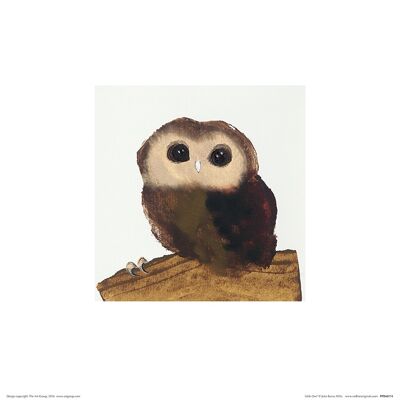 Julia Burns (Little Owl) , 30 x 30cm , PPR48174