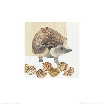Julia Burns (Hedgehog) , 30 x 30cm , PPR48175