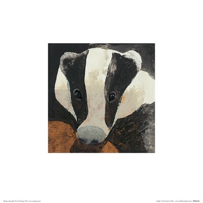Julia Burns (Badger) , 30 x 30cm , PPR48180