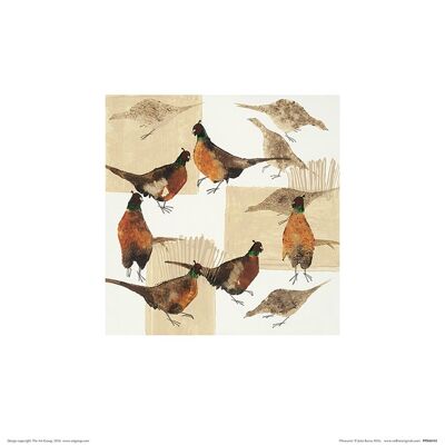 Julia Burns (Pheasants) , 30 x 30cm , PPR48182