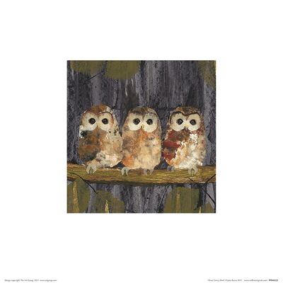 Julia Burns (Three Tawny Owls) , 30 x 30cm , PPR48222
