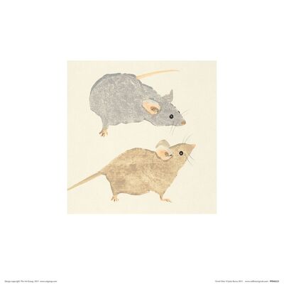 Julia Burns (Timid Mice) , 30 x 30cm , PPR48223