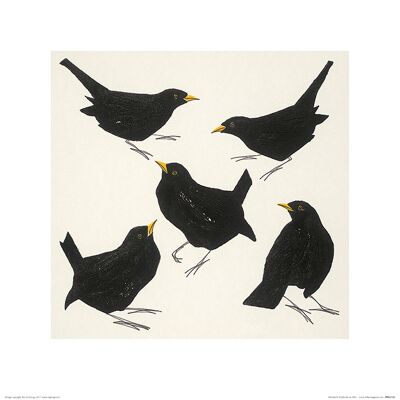 Julia Burns (Blackbirds) , 40 x 40cm , PPR45720