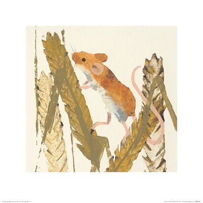 Julia Burns (Harvest Mouse) , 40 x 40cm , PPR45722