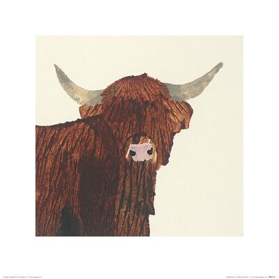 Julia Burns (Highland Cow) , 40 x 40cm , PPR45723