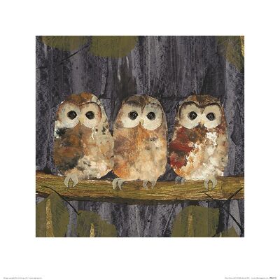 Julia Burns (Three Tawny Owls) , 40 x 40cm , PPR45732
