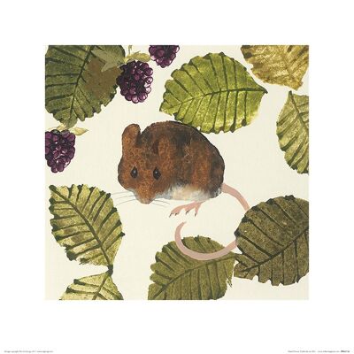 Julia Burns (Wood Mouse) , 40 x 40cm , PPR45734
