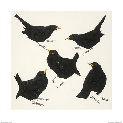 Julia Burns (Blackbirds) , 60 x 60cm , PPR46152