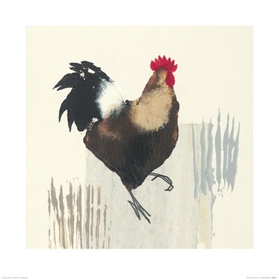 Julia Burns (Cockerel) , 60 x 60cm , PPR46153