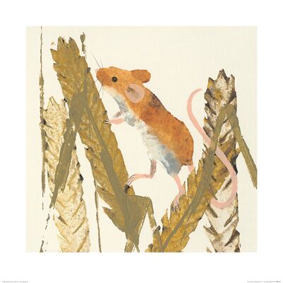 Julia Burns (Harvest Mouse) , 60 x 60cm , PPR46154