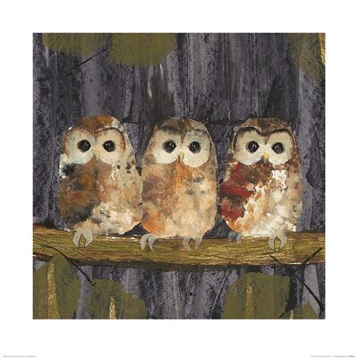 Julia Burns (Three Tawny Owls) , 60 x 60cm , PPR46164