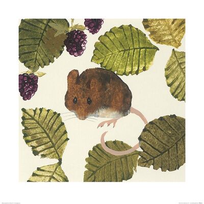 Julia Burns (Wood Mouse) , 60 x 60cm , PPR46166
