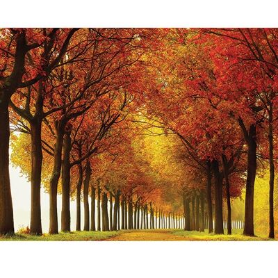 Lars van de Goor (So Full) , 60 x 80cm , PPR51242