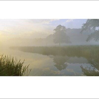 Lee Frost (River Aln Dawn) , 50 x 100cm , 42627