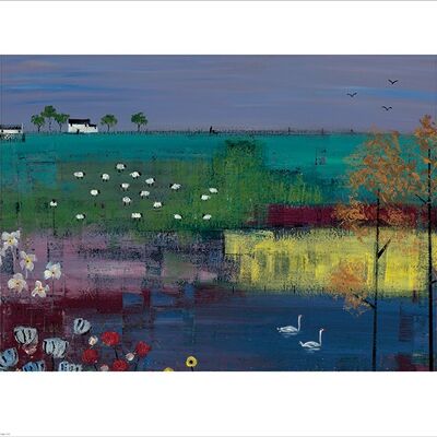 Lee McCarthy (Swan Lake) , 40 x 50cm , PPR43247