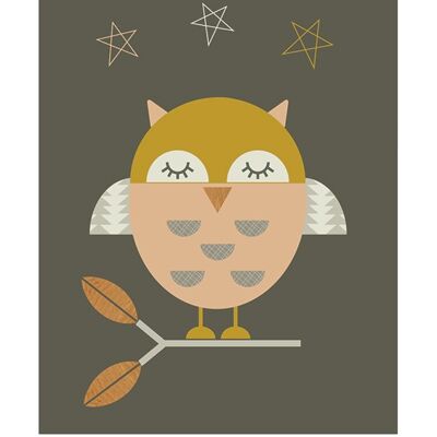 Little Design Haus (Little Owl) , 40 x 50cm , PPR43203