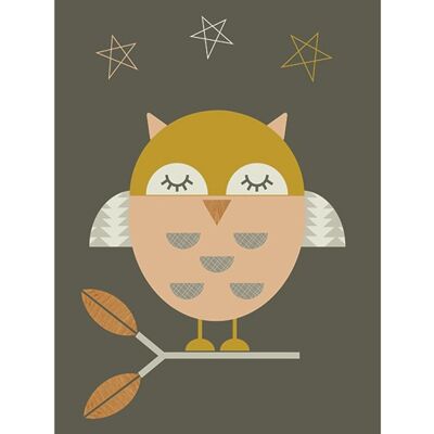 Little Design Haus (Little Owl) , 30 x 40cm , PPR44195