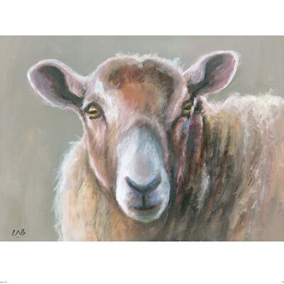 Louise Brown (Looking Sheepish) , 40 x 50cm , PPR43159