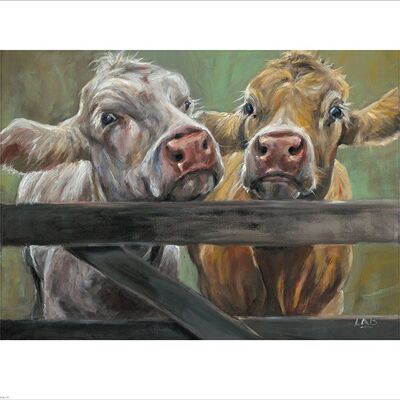 Louise Brown (Two Moos) , 40 x 50cm , PPR43245