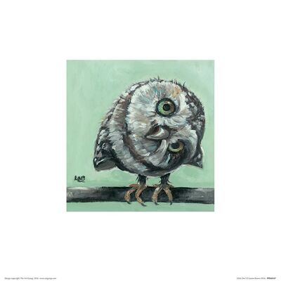 Louise Brown (Little Owl) , 30 x 30cm , PPR48187
