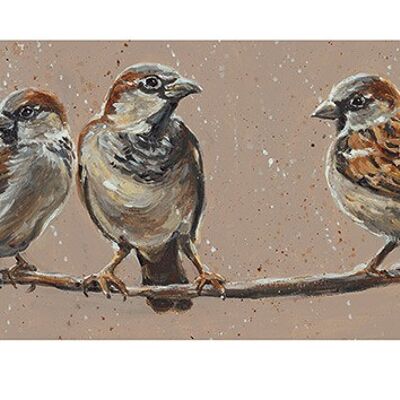 Louise Brown (Bird Talk) , 30 x 60cm , PPR41668