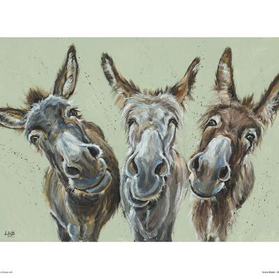 Louise Brown (Wise Asses) , 30 x 40cm , PPR44806