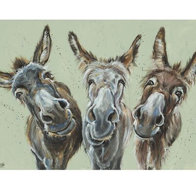 Louise Brown (Wise Asses) , 60 x 80cm , PPR51323