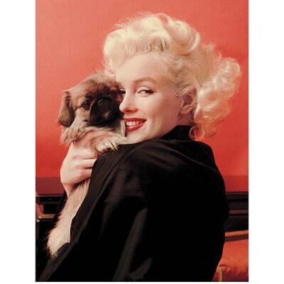 Marilyn Monroe (Love) , 60 x 80cm , PPR40553