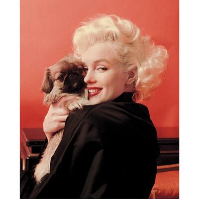 Marilyn Monroe (Love) , 40 x 50cm , PPR43261