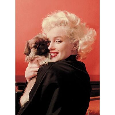 Marilyn Monroe (Love) , 30 x 40cm , PPR44291