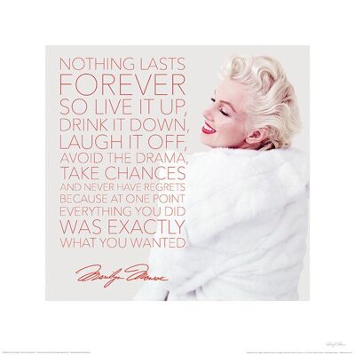 Marilyn Monroe (Nothing Lasts Forever) , 40 x 40cm , PPR45482