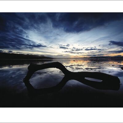 Marina Cano (Beach Reflection) , 50 x 70cm , 40254