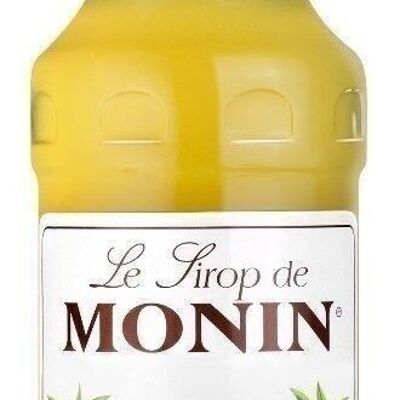 Buy wholesale Le Fruit Poire William MONIN - Natural flavors - 1L