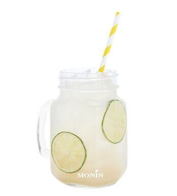 Sirop de Citron Vert  MONIN pour cocktails ou boissons rafraîchissantes - Arômes naturels -  70cl 3
