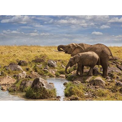 Mario Moreno (Elephants of Maasai Mara) , 60 x 80cm , PPR40858
