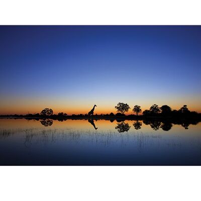 Mario Moreno (Okavango) , 60 x 80cm , PPR40862