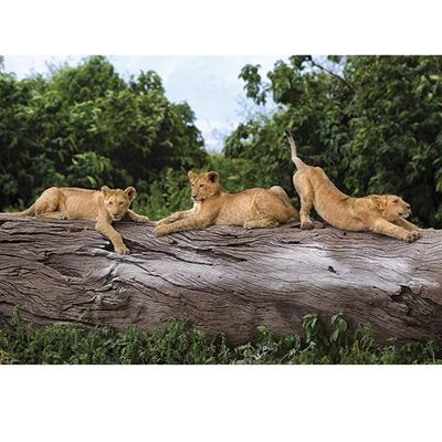 Mario Moreno (Three Cubs on a Tree) , 60 x 80cm , PPR40864