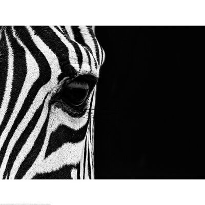 Mario Moreno (Zebra Eye) , 60 x 80cm , PPR51509