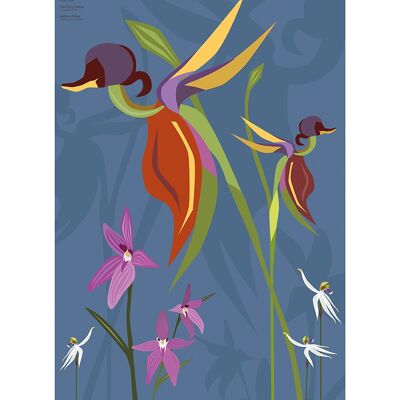 Mokoh (Duck Orchid) , 30 x 40cm , PPR54133