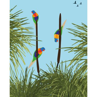 Mokoh (Lorikeets) , 40 x 50cm , PPR43987