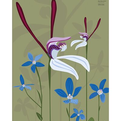 Mokoh (Rabbit Orchid) , 40 x 50cm , PPR43992
